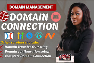 connect domain, manage dns, and fix domain issues