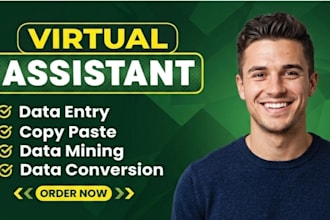 do professional excel data entry and data sheet management