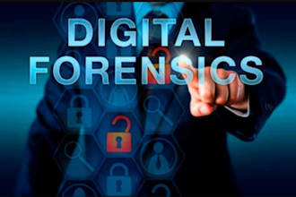 do vulnerability digital forensics, data recovery, and cyber crime investigation