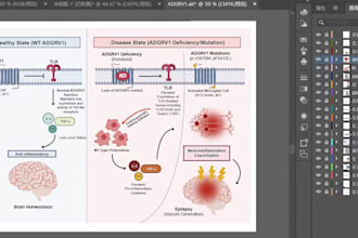 create scientific graphical abstract and biological pathway figure