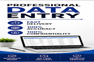 professional data entry expert