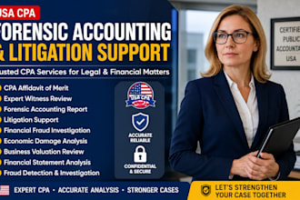 provide CPA affidavit of merit, expert witness review forensic accounting report