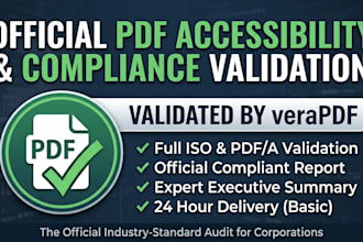 run an official PDF accessibility and compliance validation report