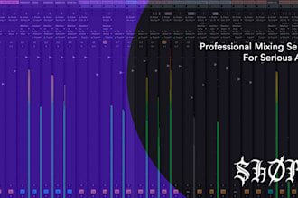 mix you next serious record