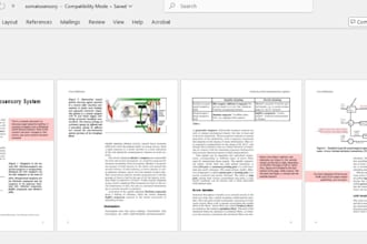 convert and format documents professionally