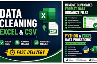 clean, format, and organize excel or CSV data