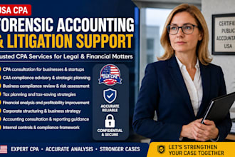 provide certified CPA and caa consultation for business compliance and strategy