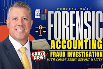 do forensic accounting, fraud investigation, document analysis, company report