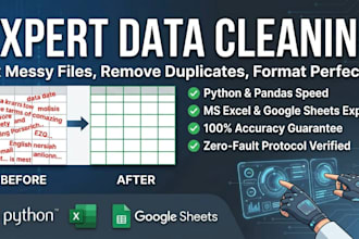 expertly clean and format your messy data