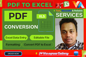 accurately convert PDF to excel using adobe acrobat and excel function