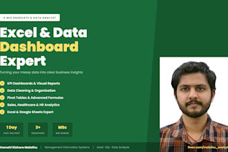 create a professional excel dashboard and data analysis report