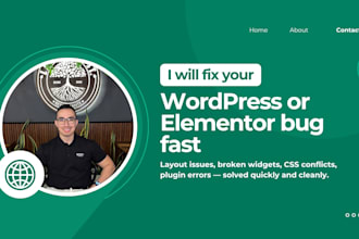 fix your wordpress or elementor bug fast