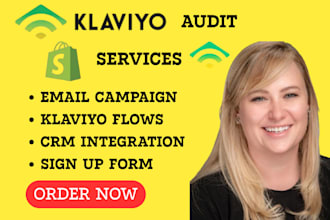 audit, setup, manage ecommerce email marketing flows in klaviyo, email flows
