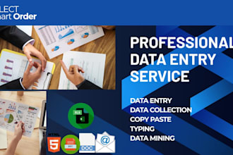 create professional data entry and reports professional