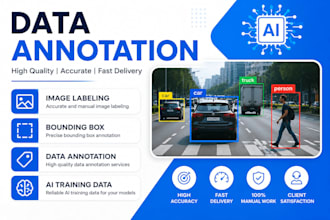 provide professional data annotation and labeling services