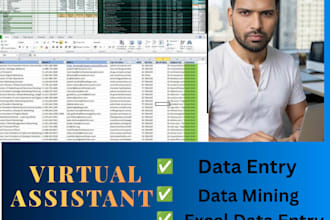 be virtual assistant for your data entry,data mining, typing,copy past