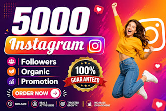 provide 5000 plus instagram followers fast