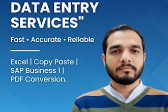 do professional sap business one data entry migration and management