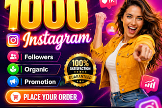 provide 1000 plus instagram followers fast