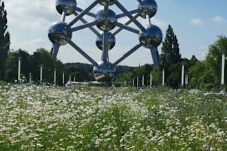 create a personalized travel itinerary in belgium
