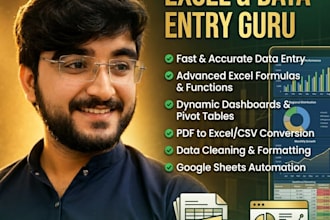 be your expert excel data analyst and data entry specialist