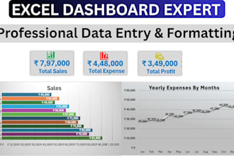 you need professional data analytics, i do for you