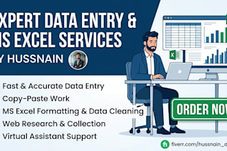 do expert data entry, ms excel and copy paste work