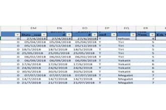 do accurate data entry and excel tasks