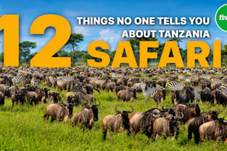 assist you with anything about tanzania