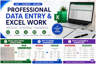 do excel data entry, data cleaning, and typing work accurately