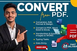 convert PDF to word excel and data entry