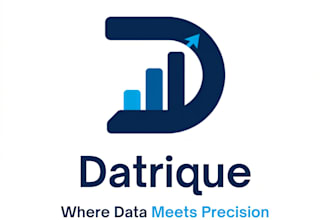 create professional financial dashboard and data analysis report