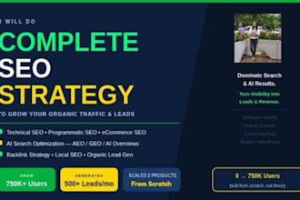 do complete SEO for organic traffic growth