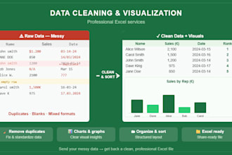 clean and visualize your dataset in excel