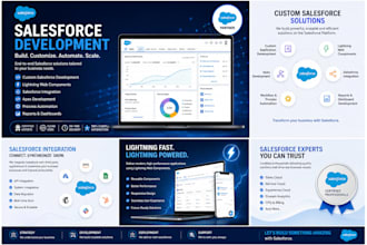 develop and customize salesforce solutions for your business