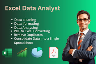 clean,format,analyze and organize excel data for business and individual
