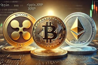 perfectly do crypto invest btc and usdt btc usdt platform