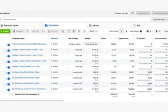 be your social media ads media buyer