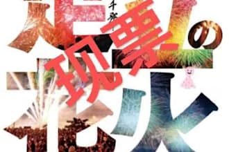 purchase 2026 japan fireworks ticket for you