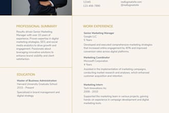 create a professional ats friendly resume and cv