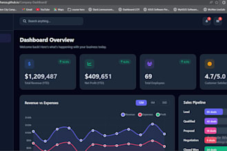 build a professional business dashboard for your company