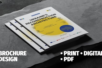 design a professional brochure, booklet or PDF guide