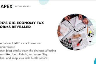 prepare and e file US tax returns for individual