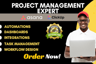 be your asana and clickup expert for project management and automation