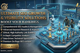 do audit and website optimization