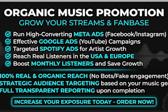 run target facebook, instagram, and youtube ads to skyrocket your music