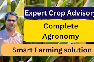 provide expert crop advisory and agronomy consultation for maize and millet