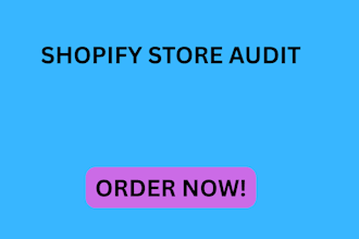 do shopify store audit and optimisation