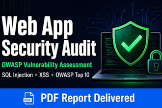 do a web application vulnerability assessment and owasp security audit