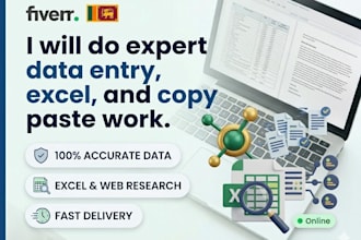 do expert data entry, excel data entry and copy paste work